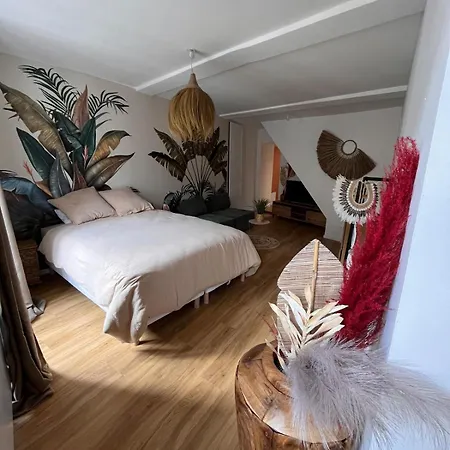 公寓 Cocon Jungle Hyper Centre La Cote-Saint-Andre